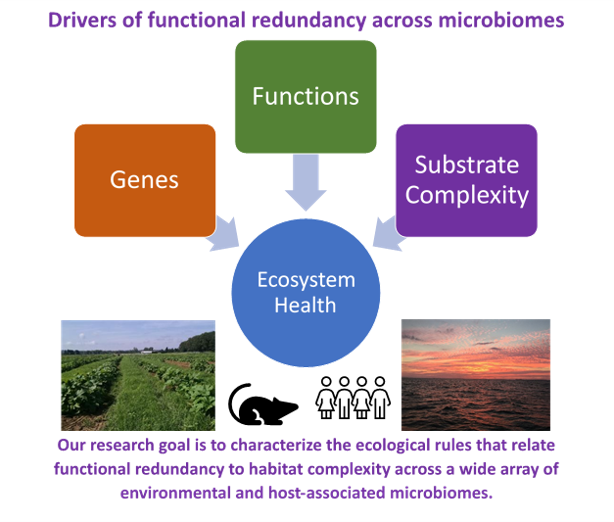 Functional redundancy of microbiomes