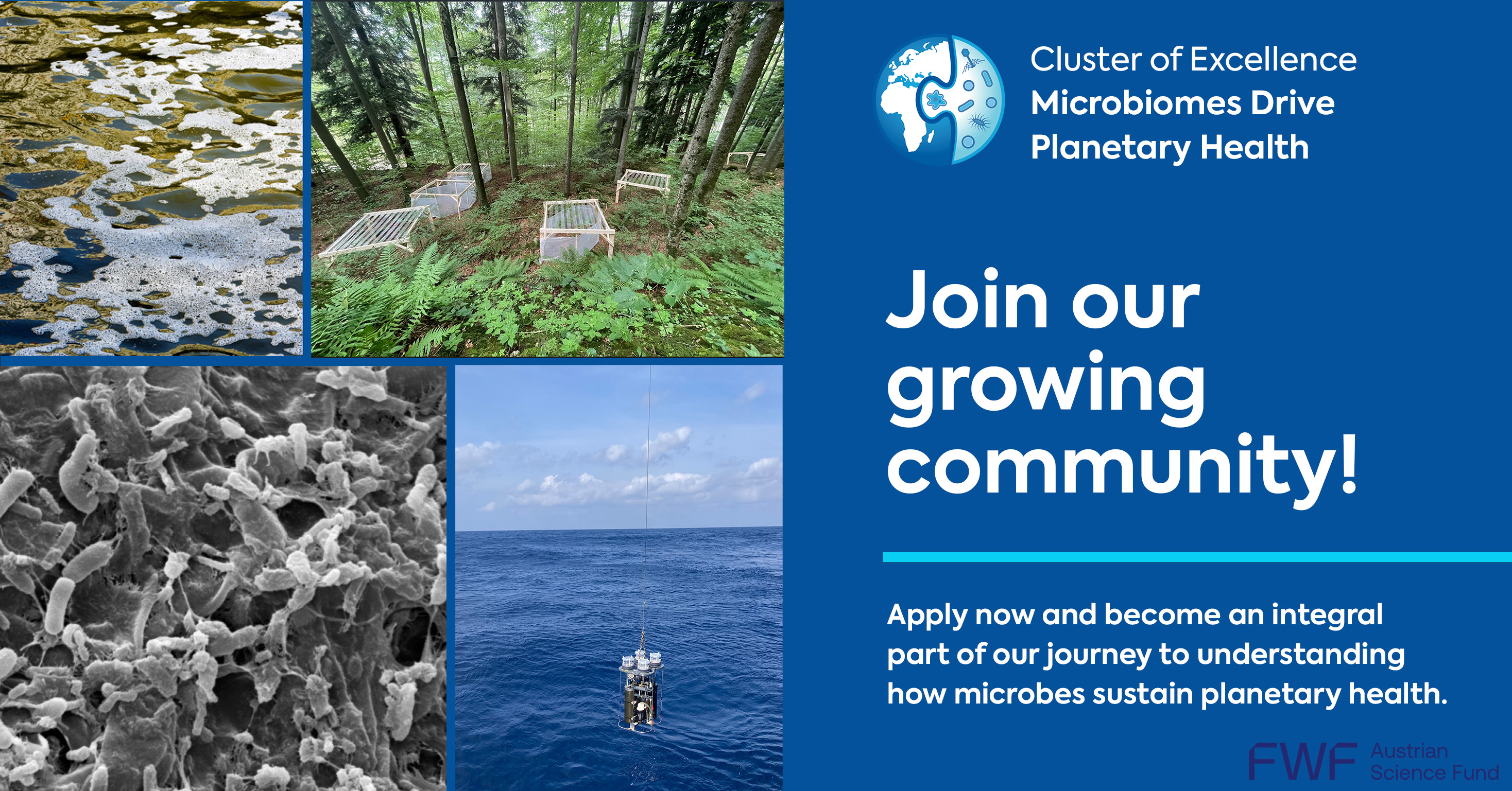 Banner outlining the recruitment call including the logo of the Cluster of Excellence, and images of microbes and habitats